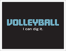 volleyball in black